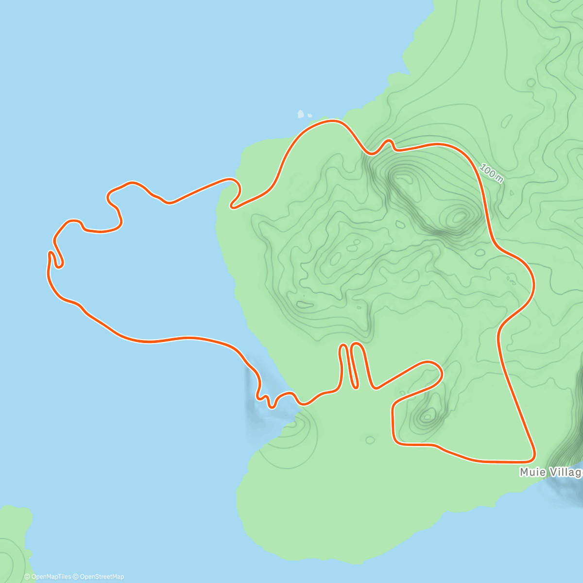 Map of the activity, Zwift - Volcano Flat in Watopia