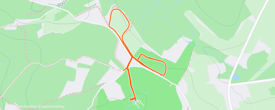 Карта физической активности (Lunch Roller Ski)