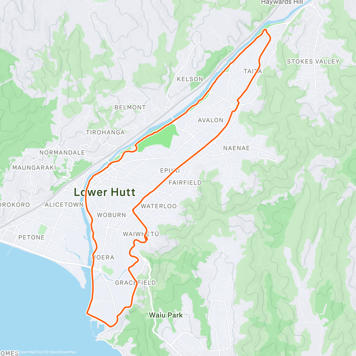 Карта физической активности (Repeat)