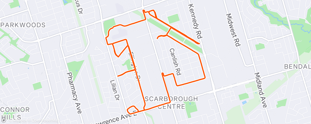 Mappa dell'attività Afternoon Run