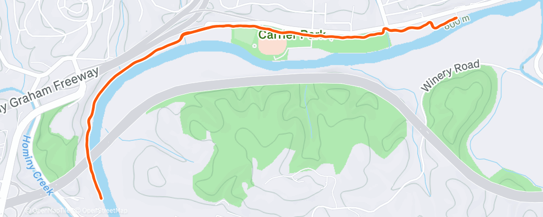 Карта физической активности (Morning Run)