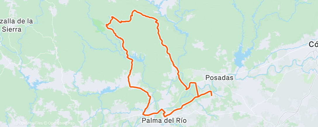 Карта физической активности (Lunch Ride)