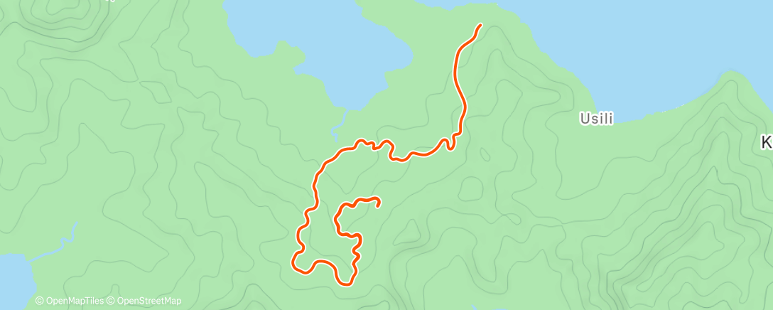 Map of the activity, Zwift - 5' Cooldown on Jungle Circuit in Watopia