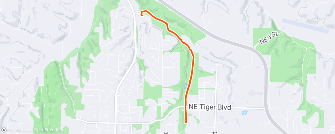 Map of the activity, Morning Run