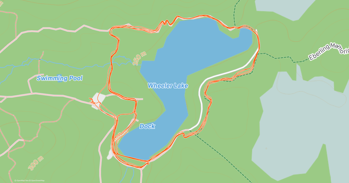 www.strava.com