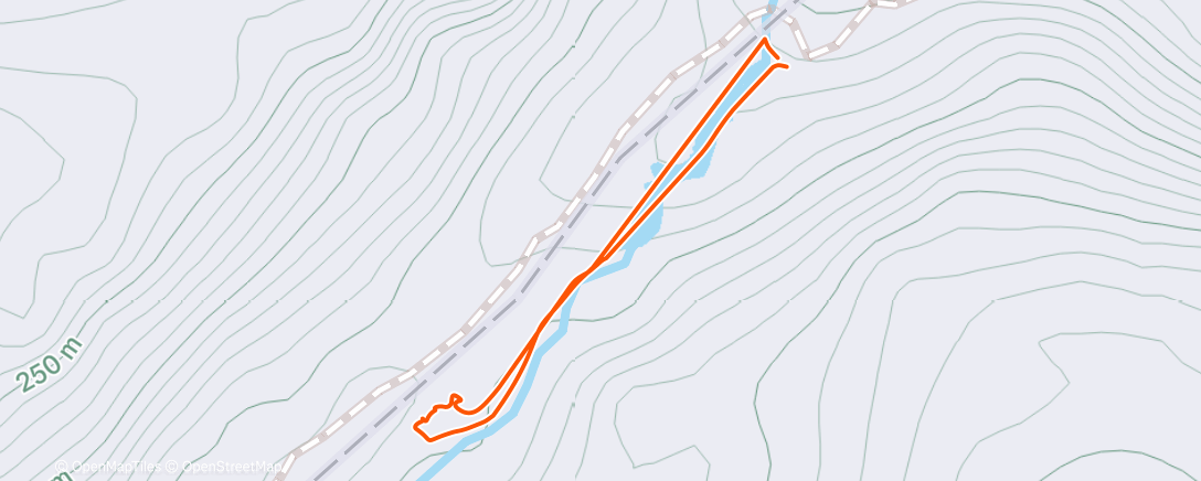 Карта физической активности (Afternoon Swim)