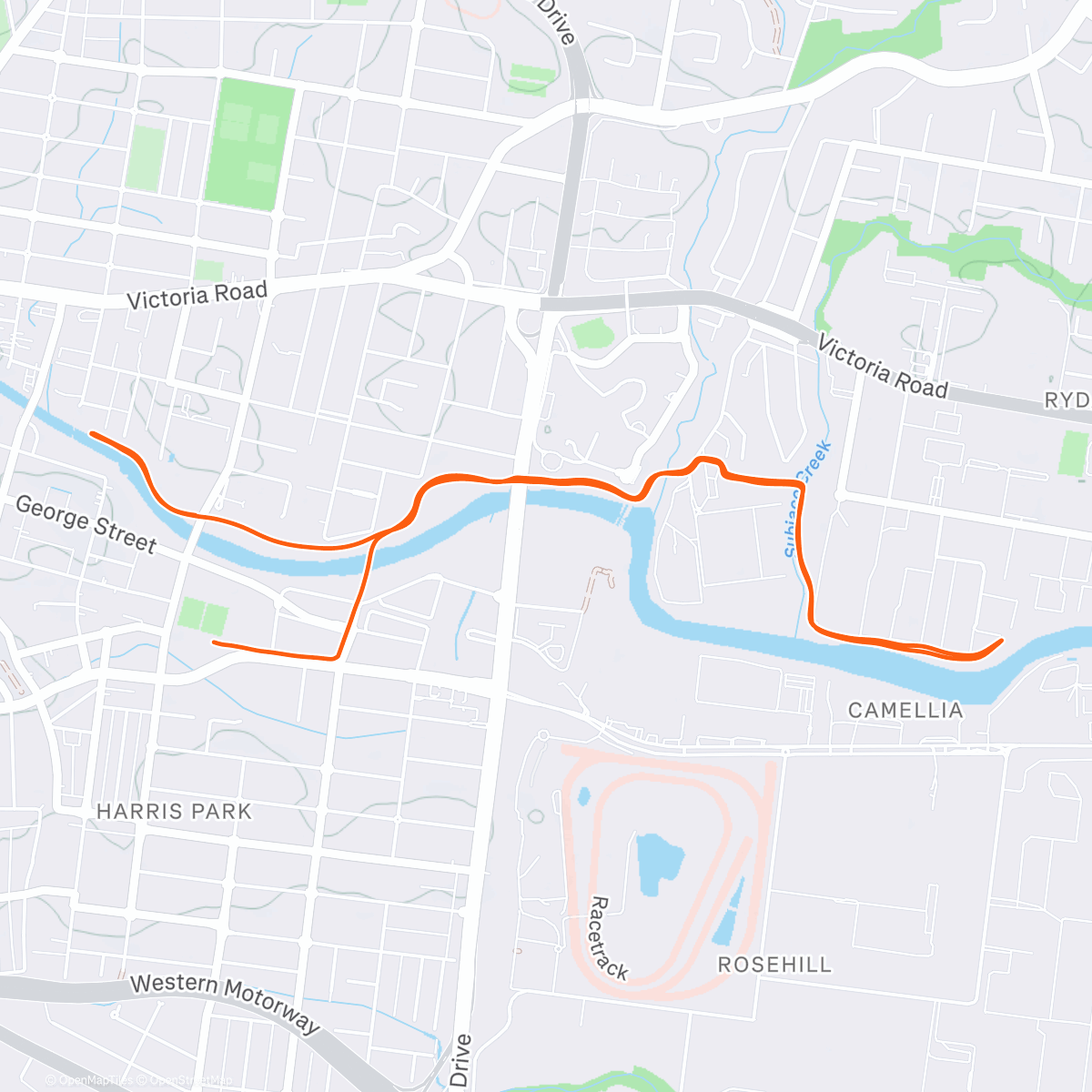 Карта физической активности (Evening Run)