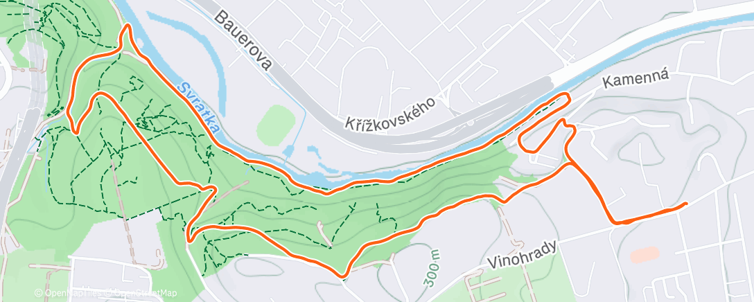 Карта физической активности (Morning Run)