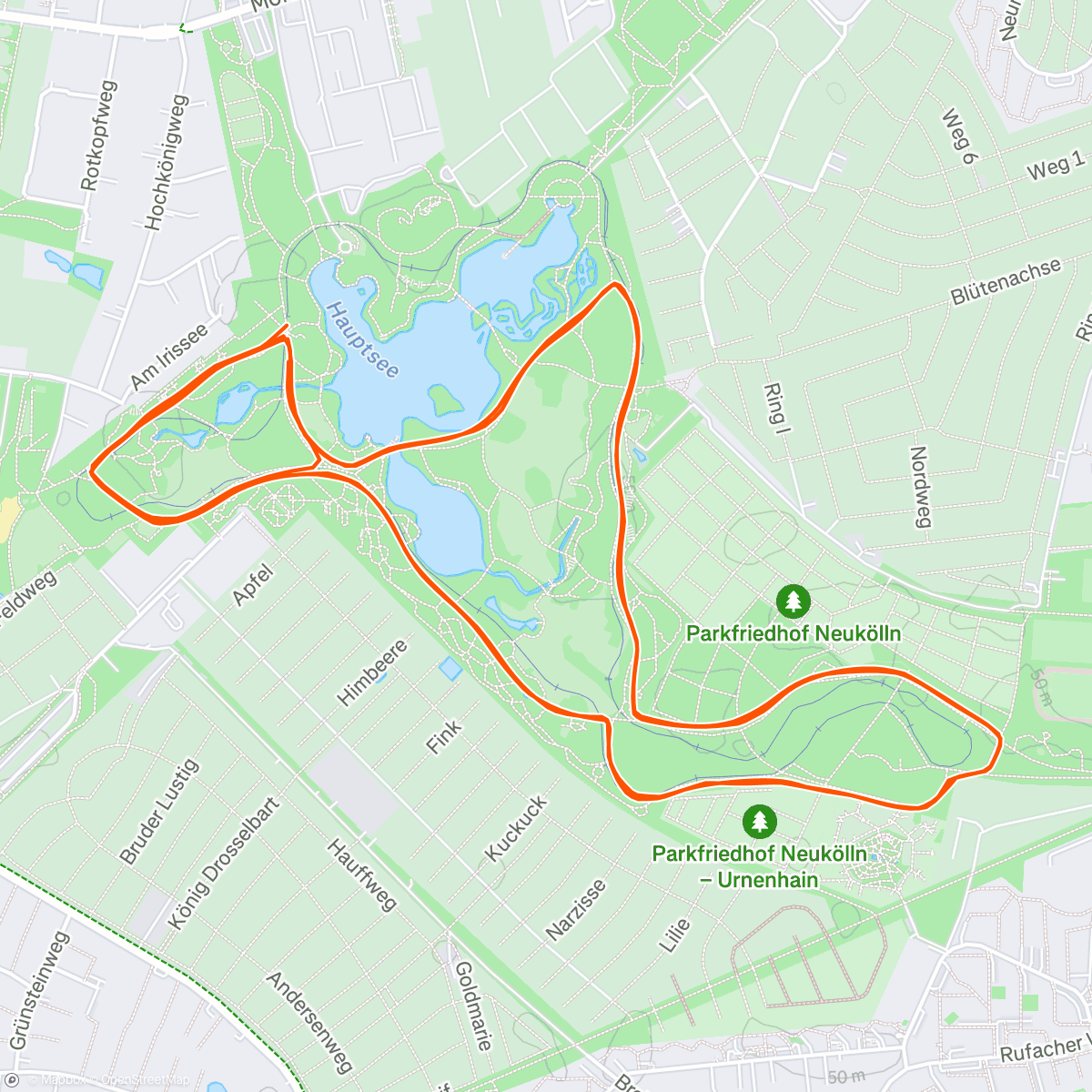 Eva Michaeli Strava Runner Profile