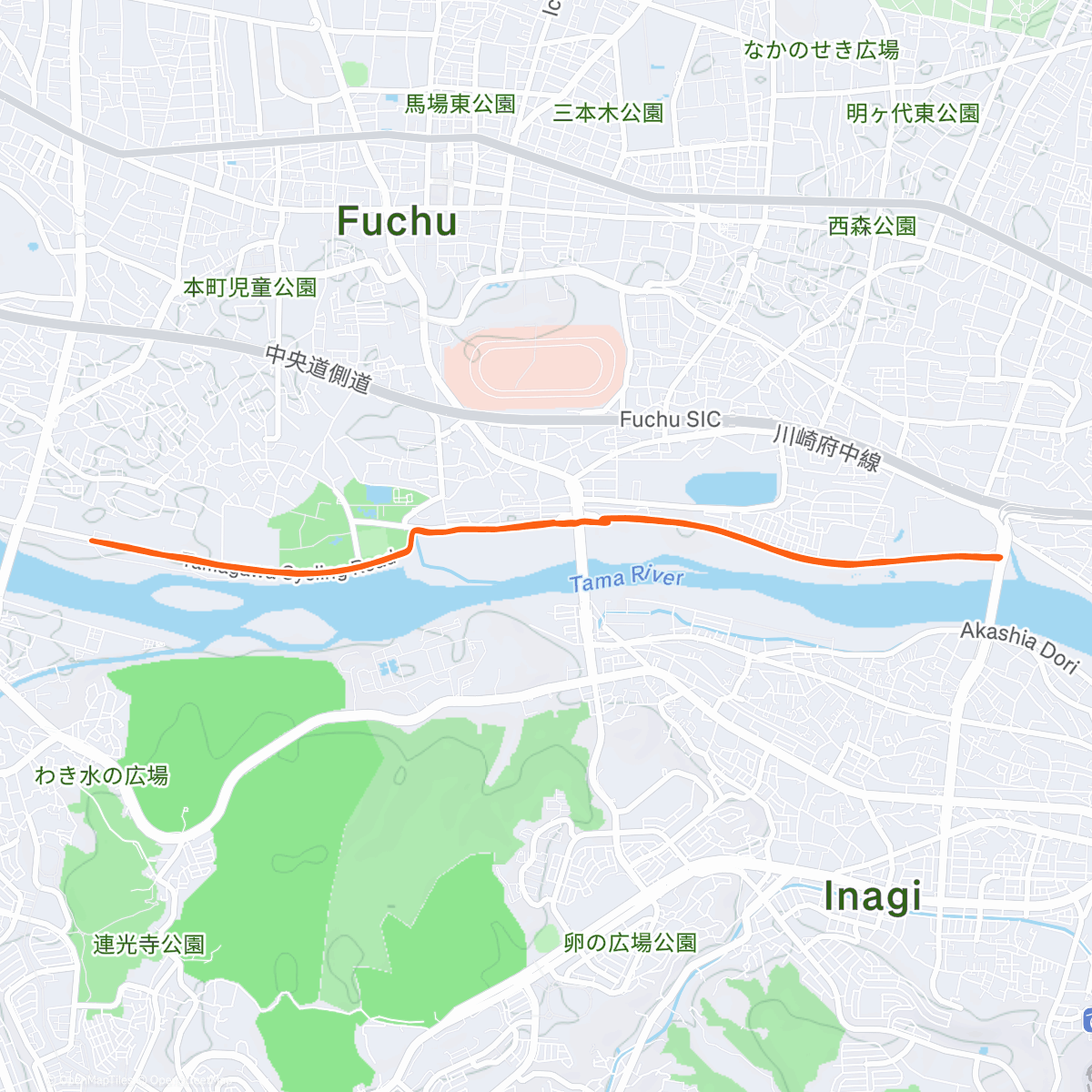 Карта физической активности (Fuchu Tamagawa 30km, 1st place🏅☺️)