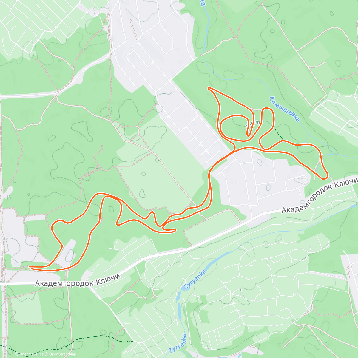 Карта физической активности (Новогодняя гонка ИЯФ . Классика)
