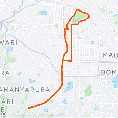 Kanakapura Road > Lalbagh Loop | 22.2 km Cycling Route on Strava