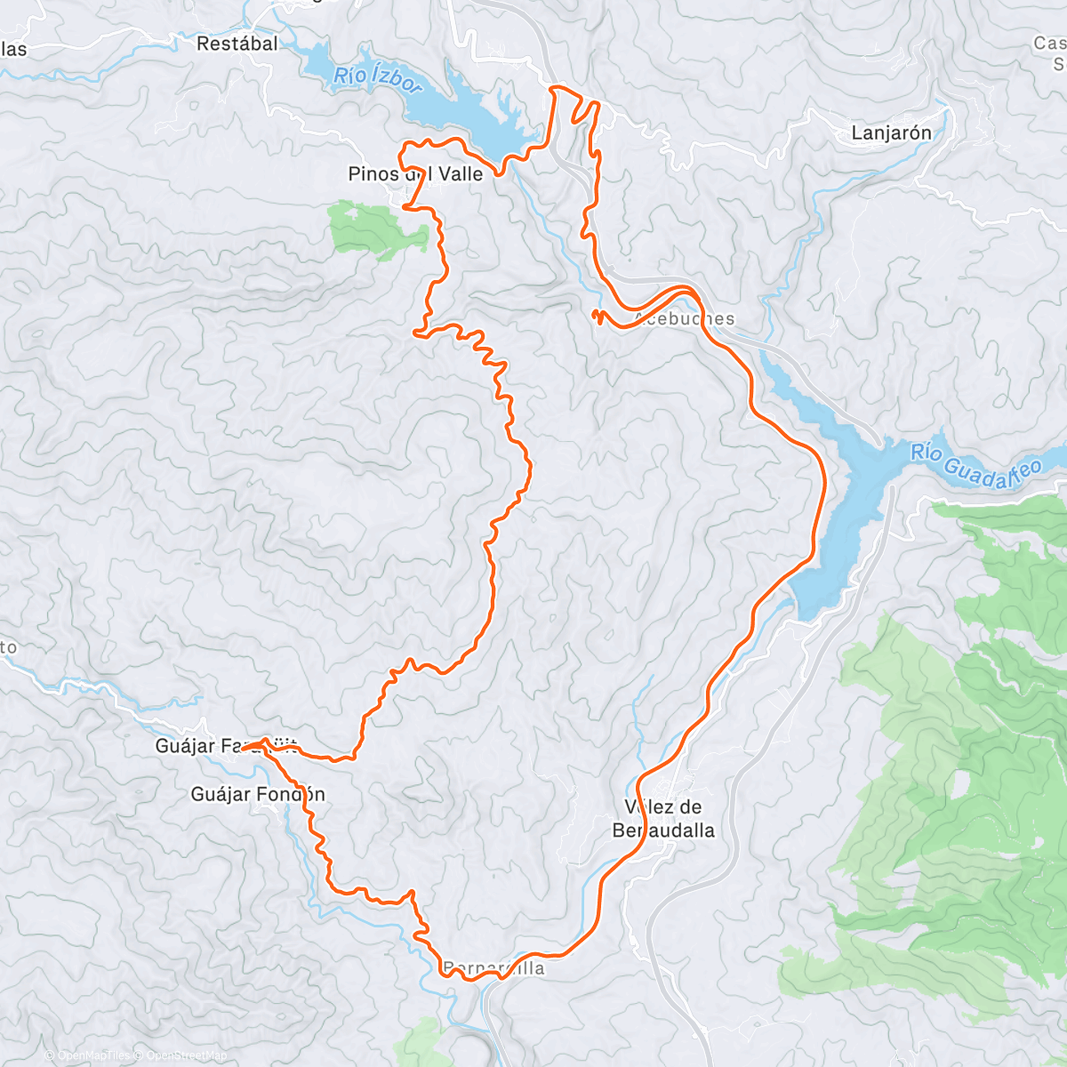 Map of the activity, Road kill 🥑