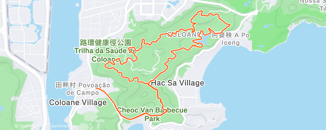 Map of the activity, Lunch Trail Run
