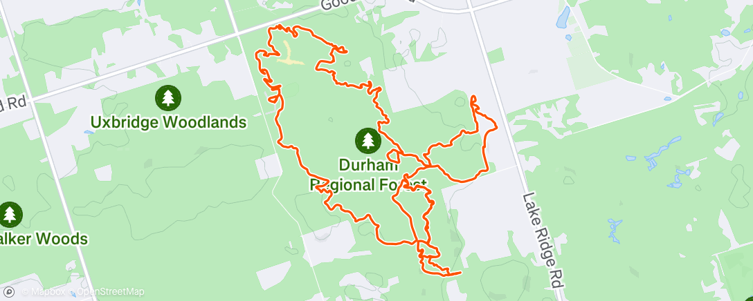 Map of the activity, Afternoon Ride