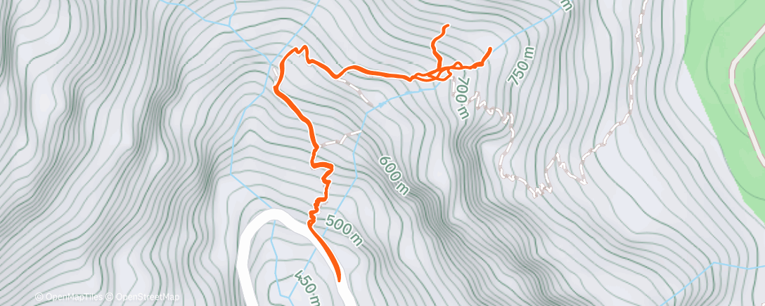 Карта физической активности (Caminata a la hora del almuerzo)