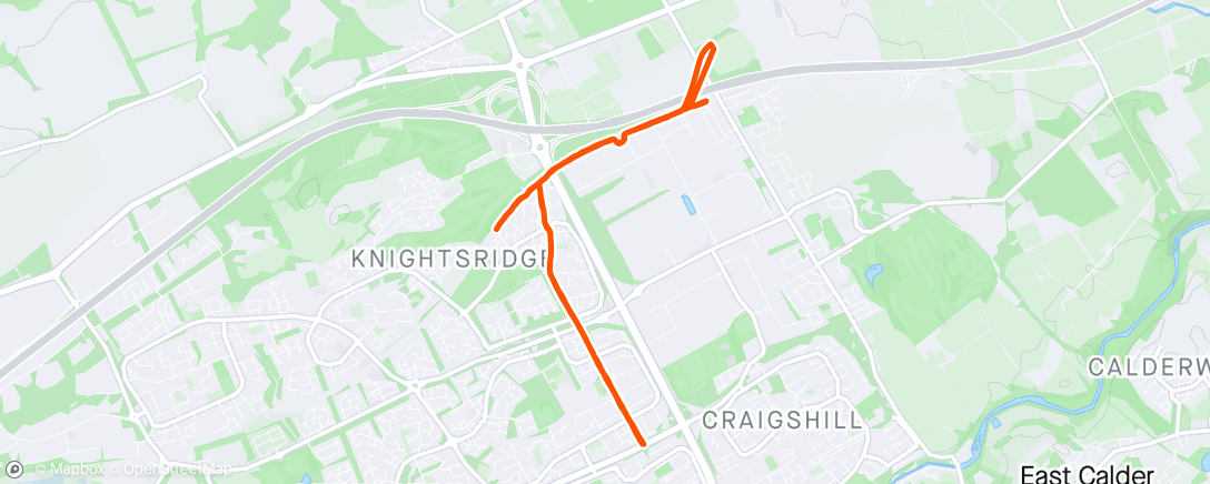 Map of the activity, Morning Run