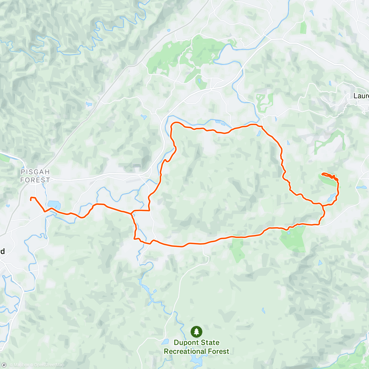 Mappa dell'attività Buzz at Nugz