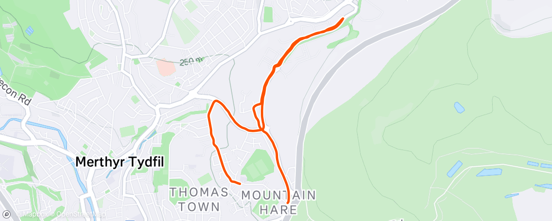 Map of the activity, Afternoon Run