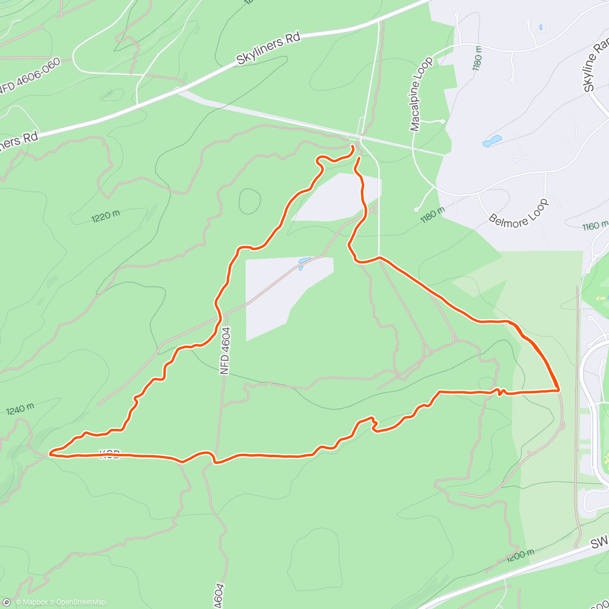 Map of the activity, At least trail running is a 🆒 way to have a bloody wipeout