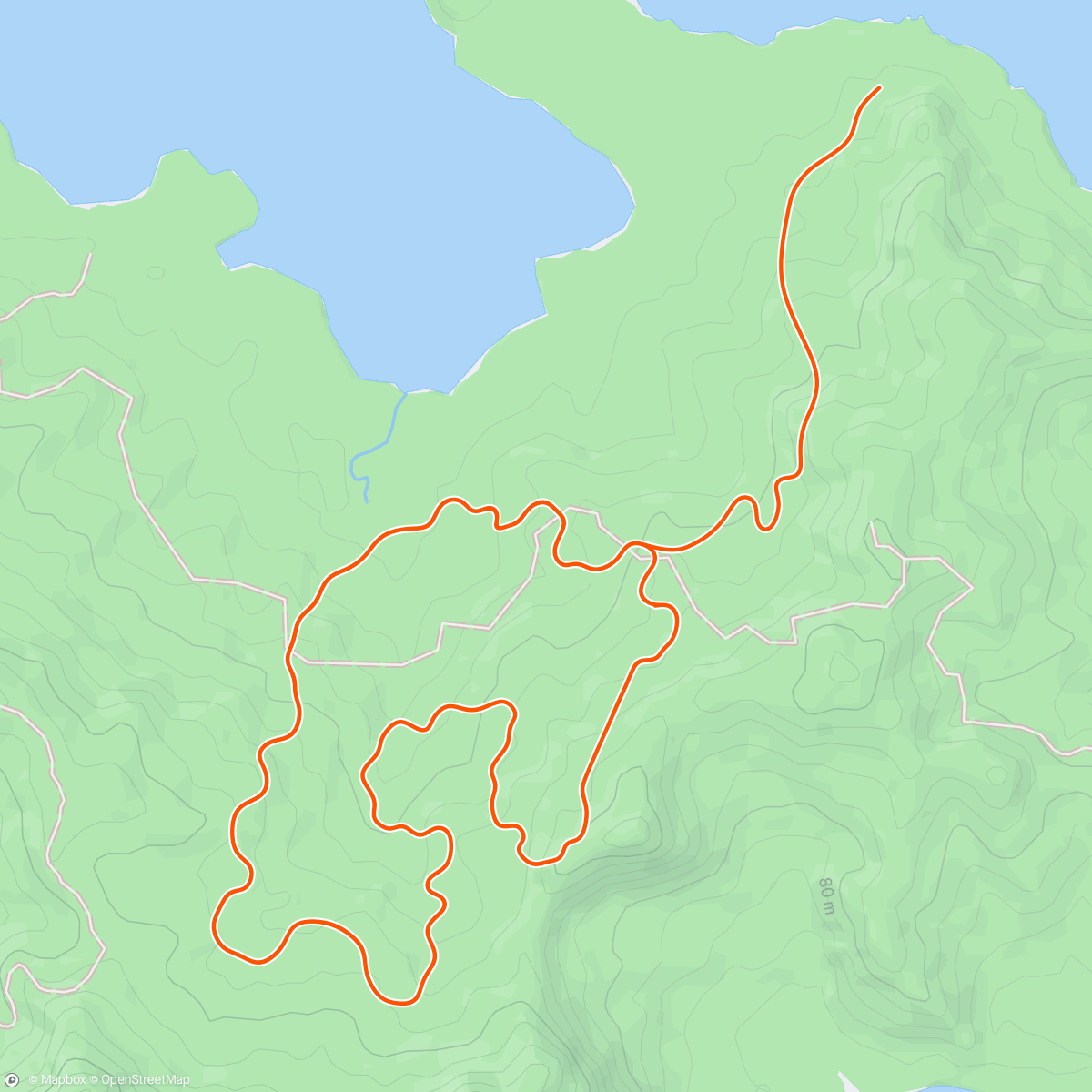 Map of the activity, Zwift - Neues Workout in Watopia