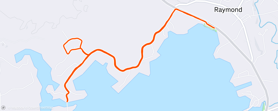 Map of the activity, That's a fucking rhododendron