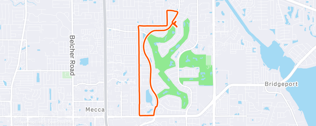 Map of the activity, Morning Run