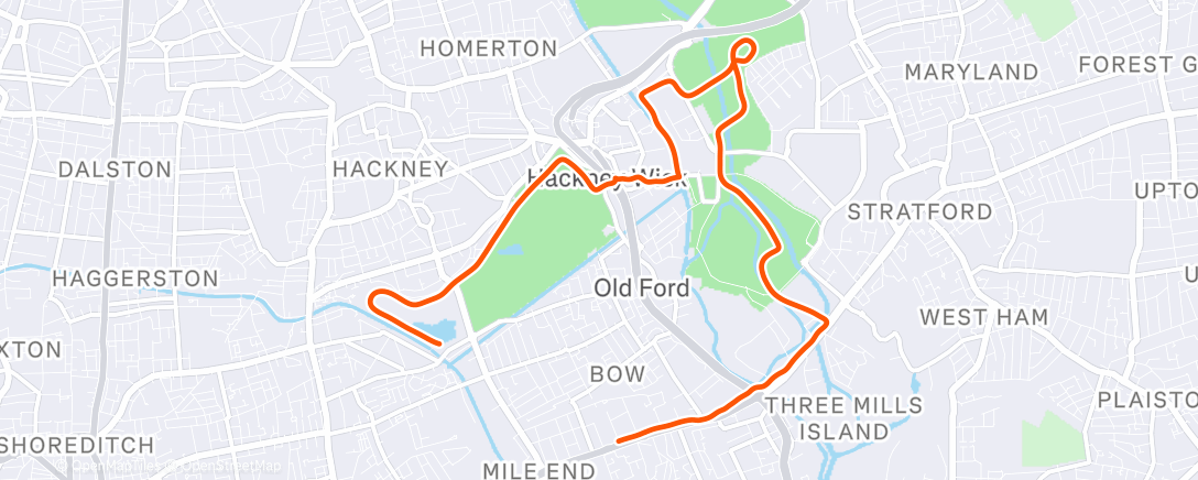 Map of the activity, Rin with pips