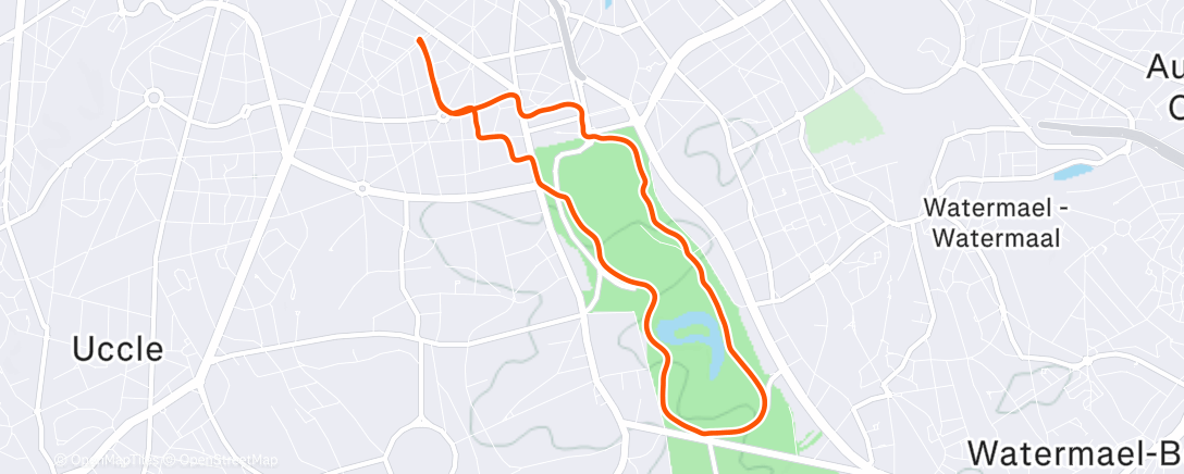 Map of the activity, Morning Run