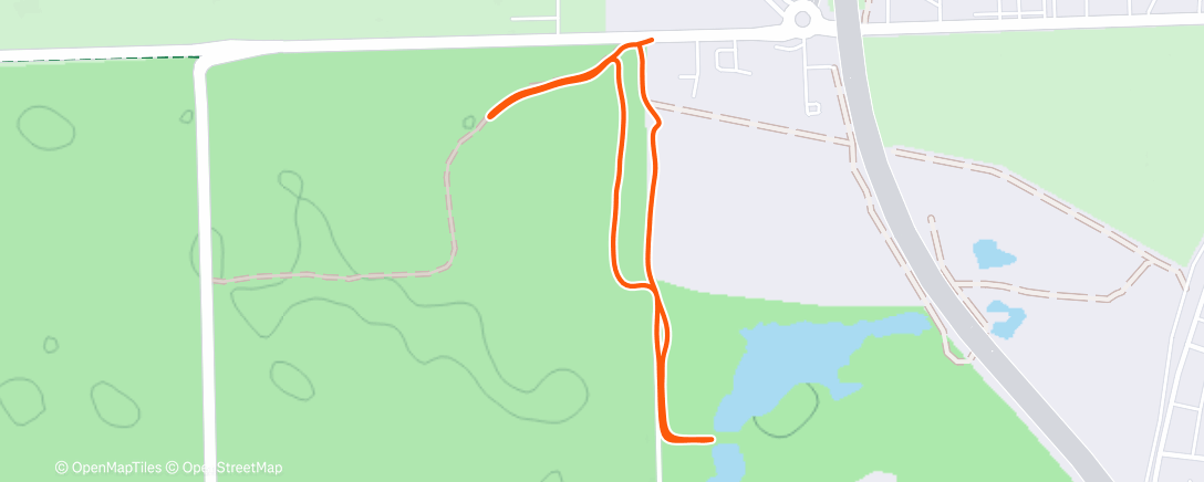 Карта физической активности (Lunch Walk)