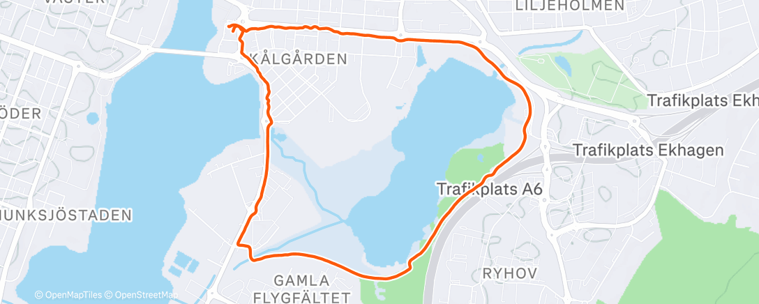 Карта физической активности (Afternoon Walk)