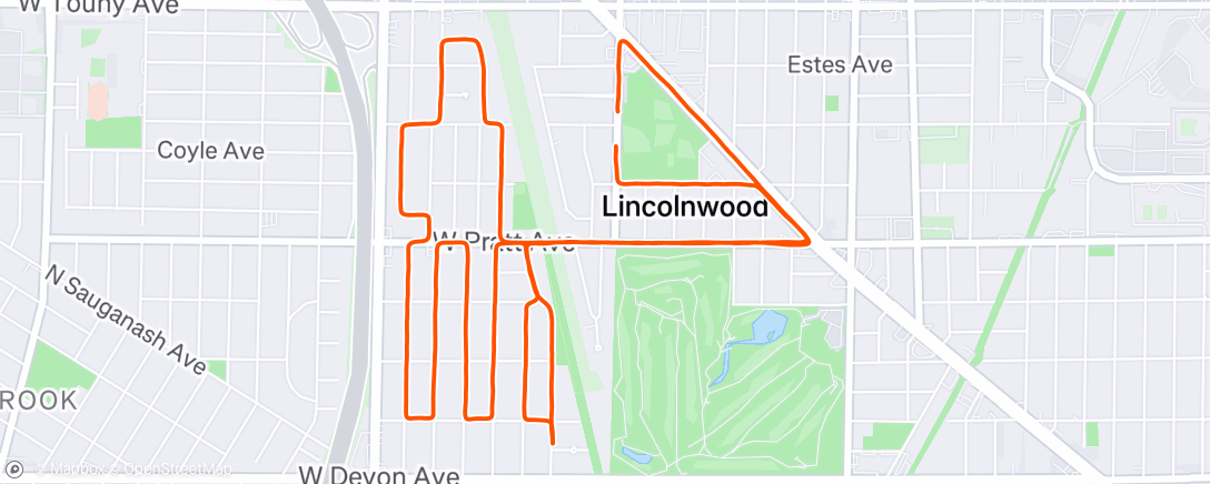 Карта физической активности (Lincolnwood Turkey Trot 10K)