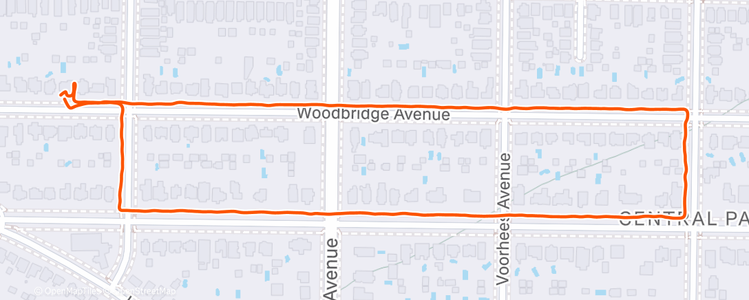 Map of the activity, Woodbridge Ave