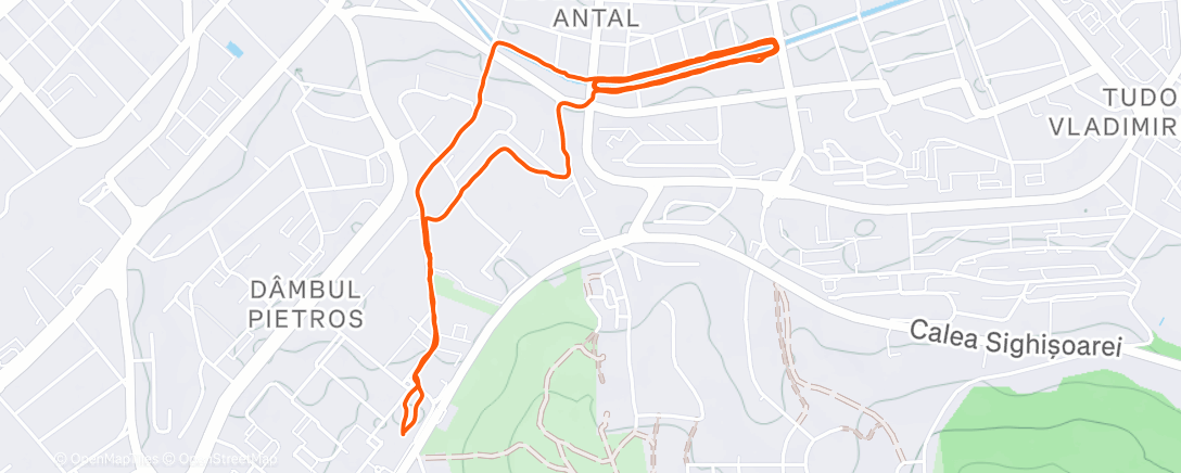 Map of the activity, Sunday run day
