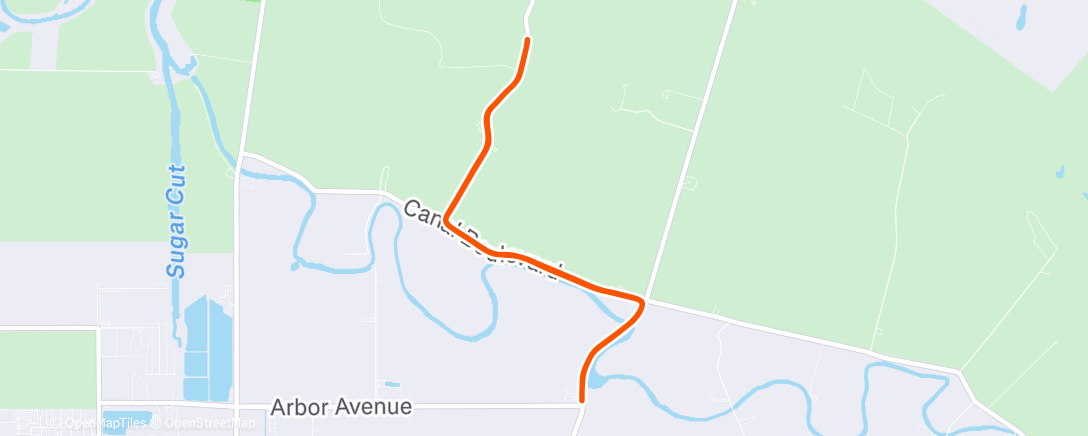 Карта физической активности (BOS | W3 D1 | Easy Run)