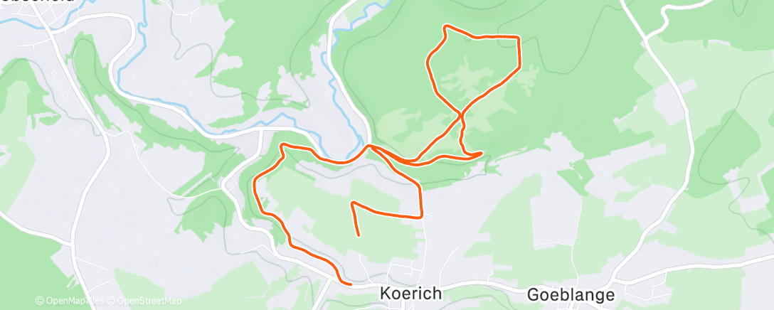 Карта физической активности (Afternoon Trail Run)