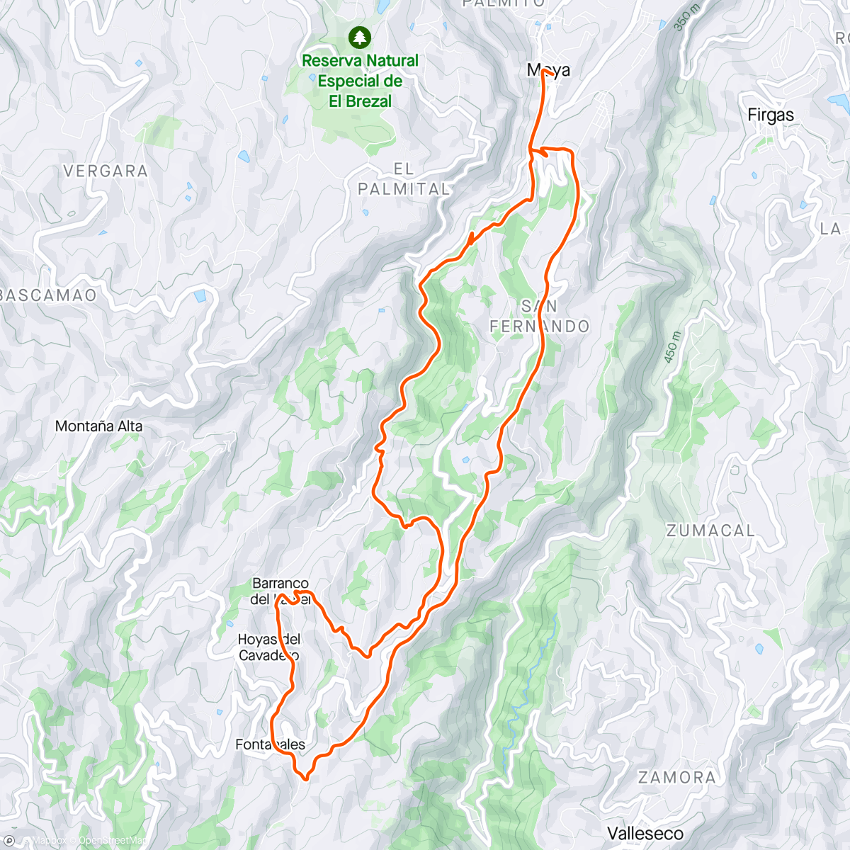 Mapa de la actividad (Trail villa de moya 2024 (19km))