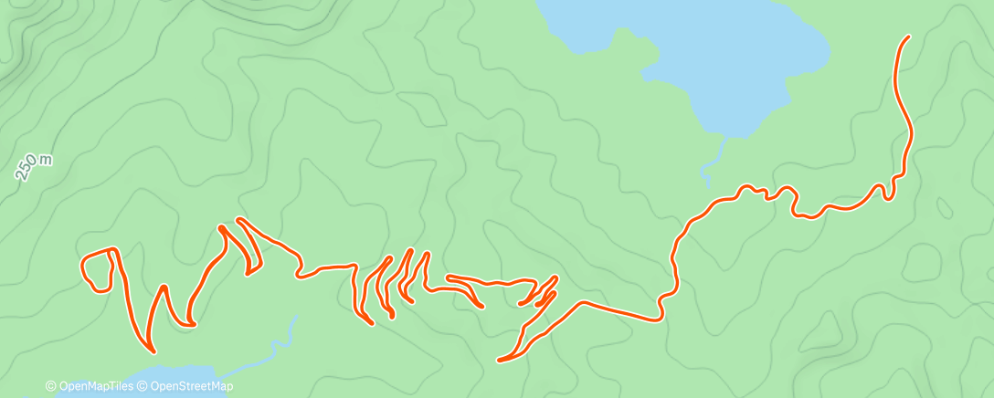Map of the activity, Racing Alpe du Zwift