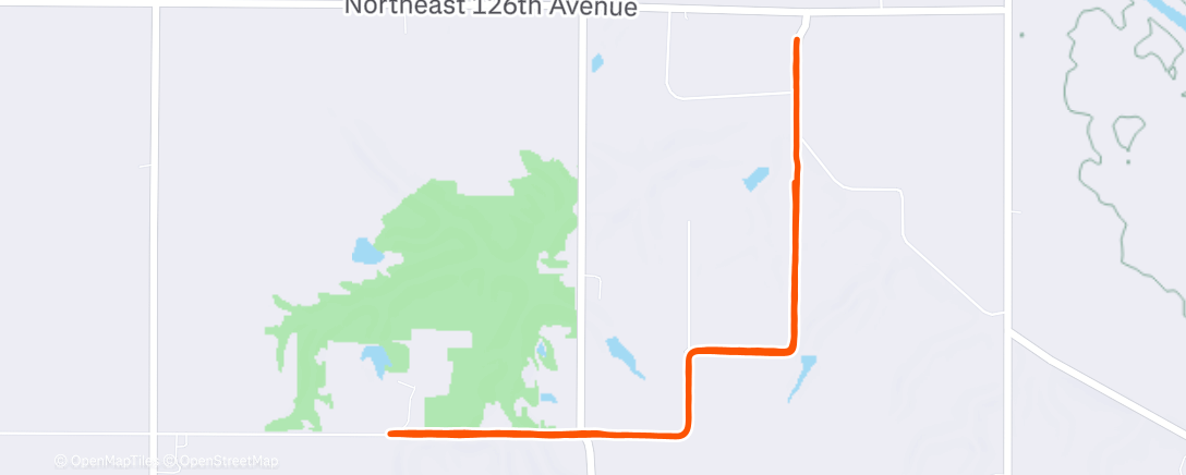 Карта физической активности (Morning Run)