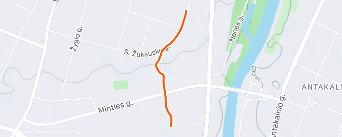 Карта физической активности (Night Run)