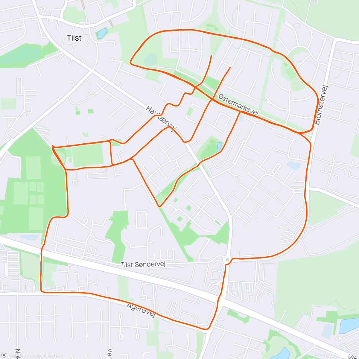 Map of the activity, 5 x 4 min i 10 km pace 🏃‍♂️