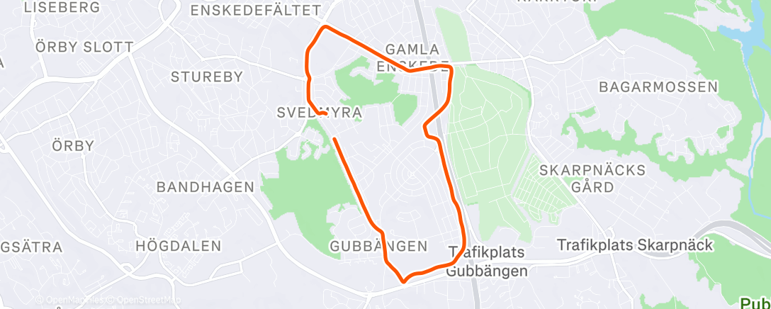 Map of the activity, Evening Run