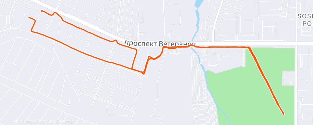 Карта физической активности (Дневной забег)