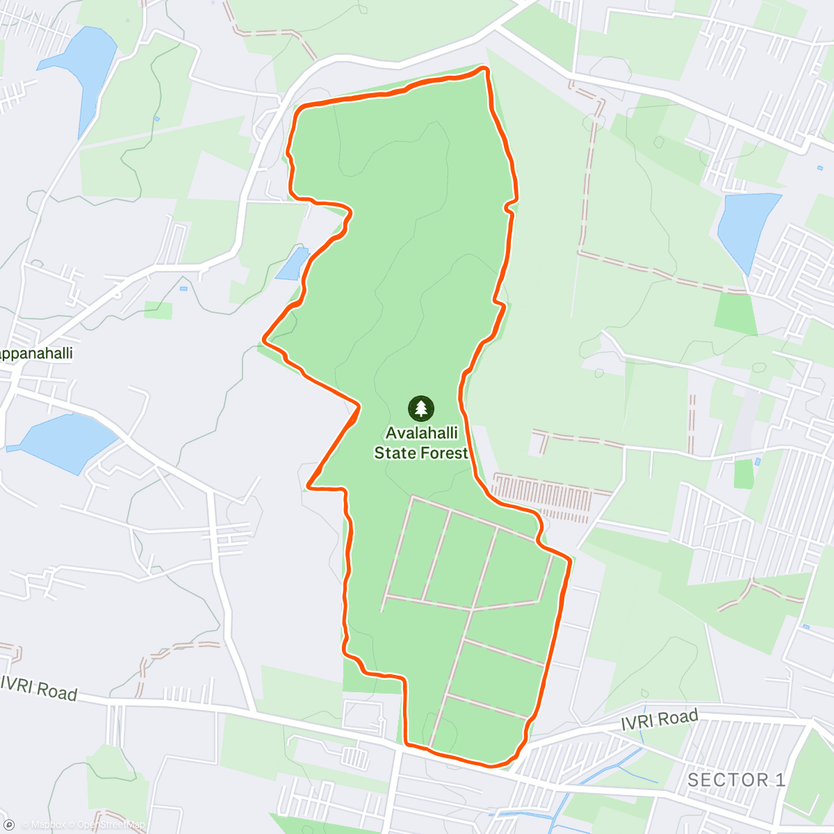 Map of the activity, Avalahalli Trail Run