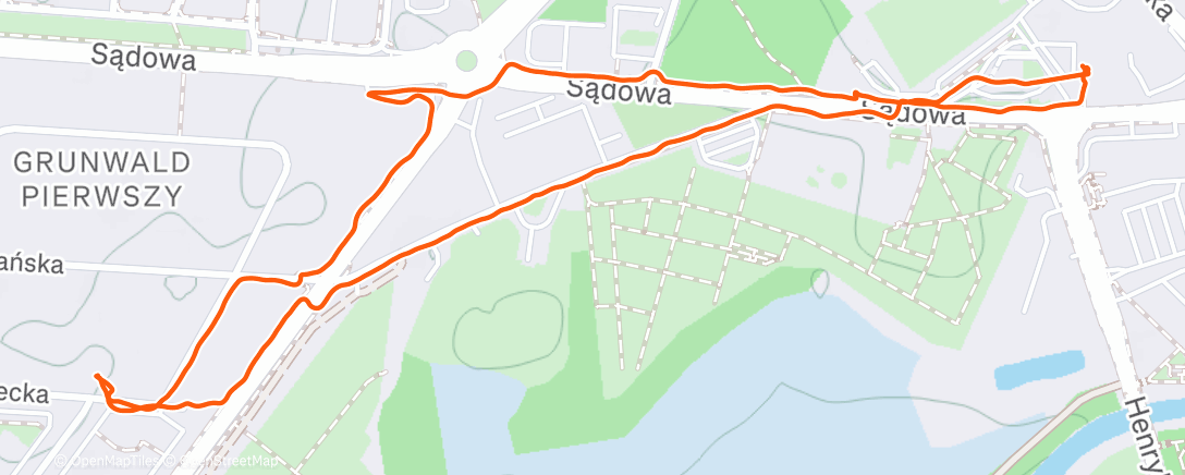 Карта физической активности (Afternoon Walk)