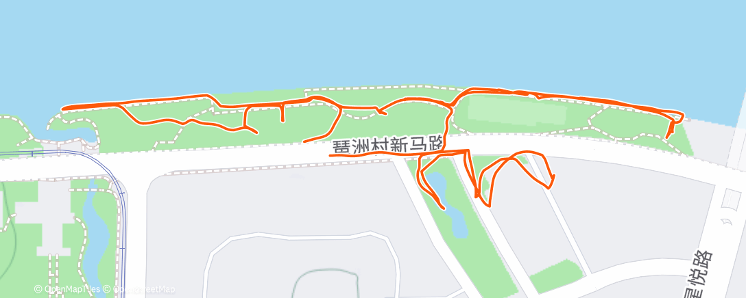 Карта физической активности (Полуденная ходьба)