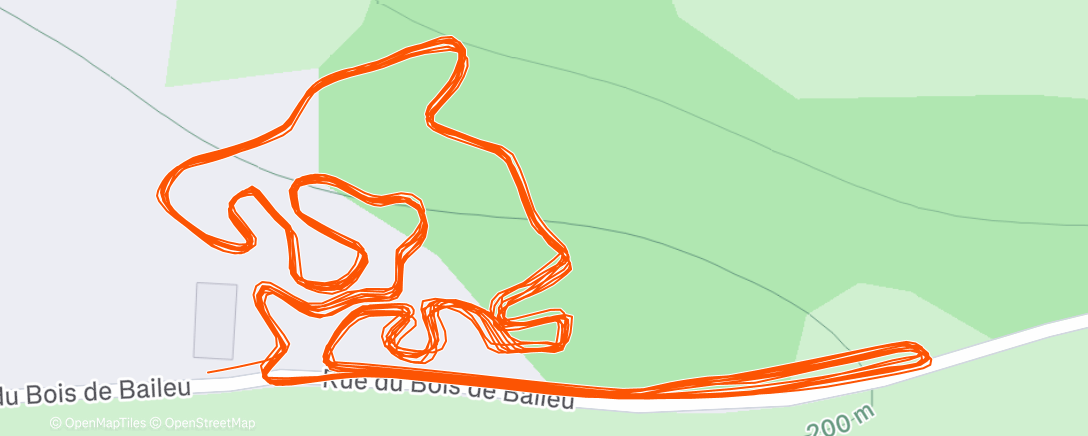 Карта физической активности (Cx flamignoul)