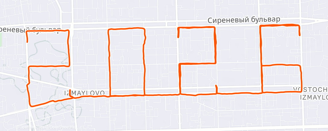 Map of the activity, Morning Run
