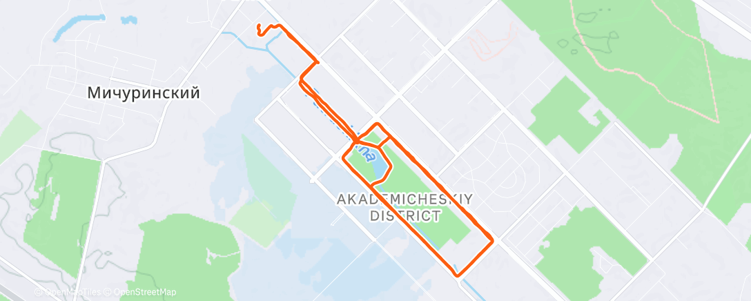 Карта физической активности (Дневной забег)