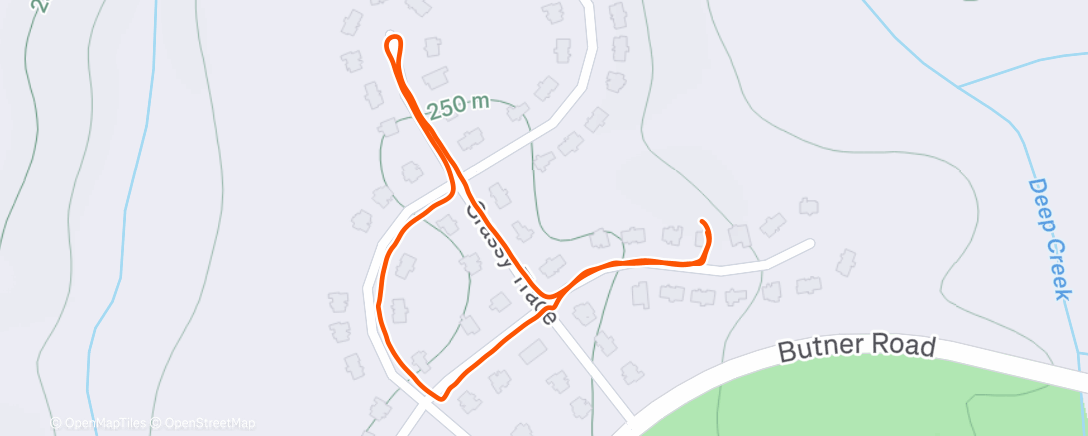 Map of the activity, 🐶🐶🚶🏽‍♀️